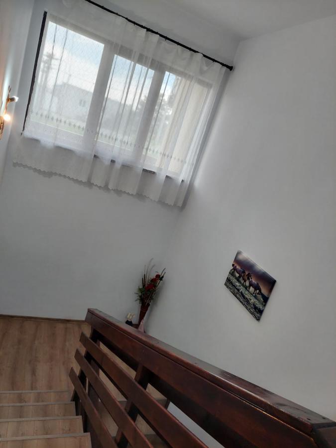 Pensiunea Camelia Baia Exterior foto